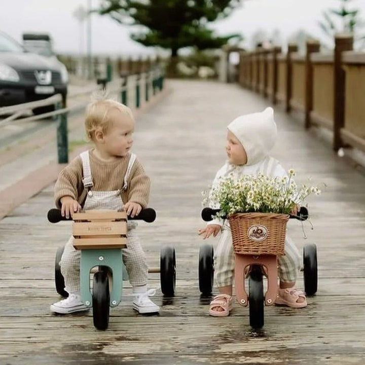 Tiny Tot 2-in-1 Wooden Balance Bike &amp; Tricycle