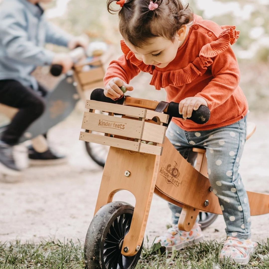 Tiny Tot 2-in-1 Wooden Balance Bike &amp; Tricycle