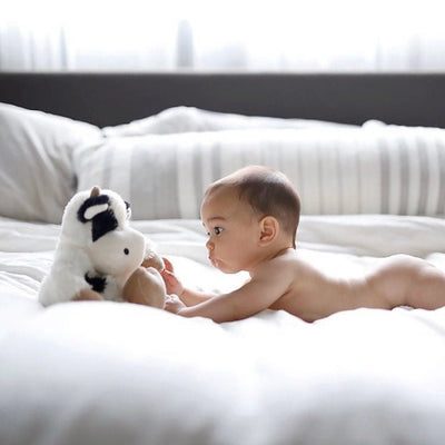 Black and White Cow Stuffed animal | Warmies | Bee like Kids