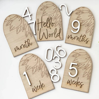 Baby Monthly Milestones Interchangeable Set | Bee Like Kids