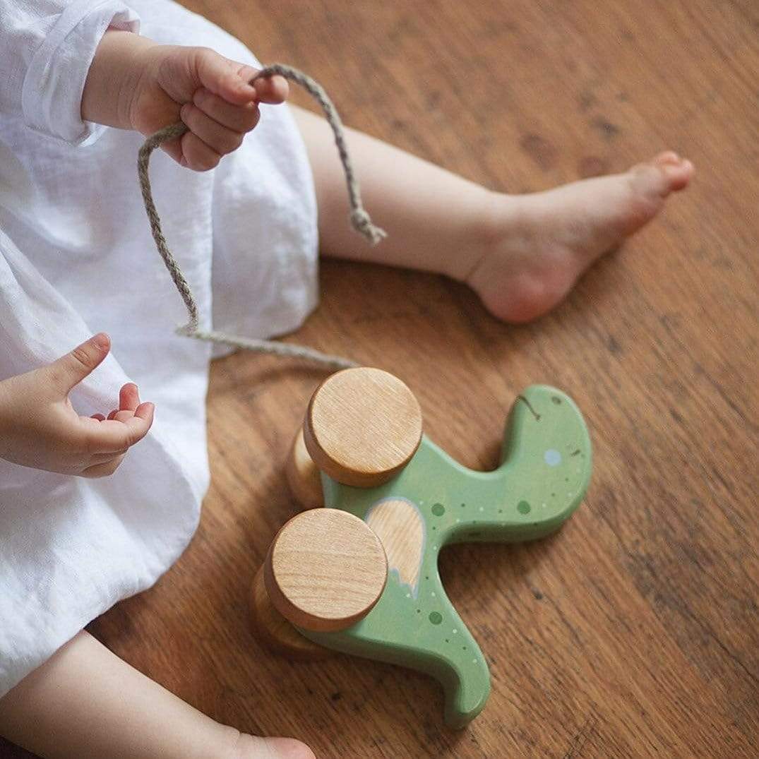 Wooden Pull Along Dinosaur | Friendly Toys | Toys - Bee Like Kids