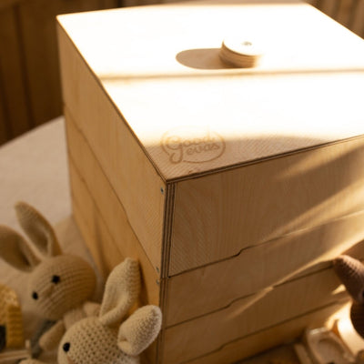 Wooden Storage/Sorter for Building Blocks
