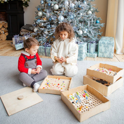 Wooden Storage/Sorter for Building Blocks